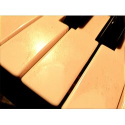 The Sound Foxes Experiment - A different kind of sound experience